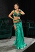 Professional bellydance costume (Classic 252 A_1)